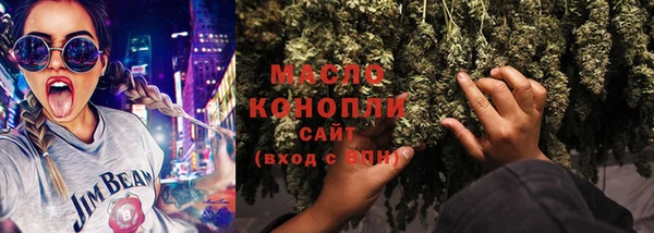 тгк Инсар