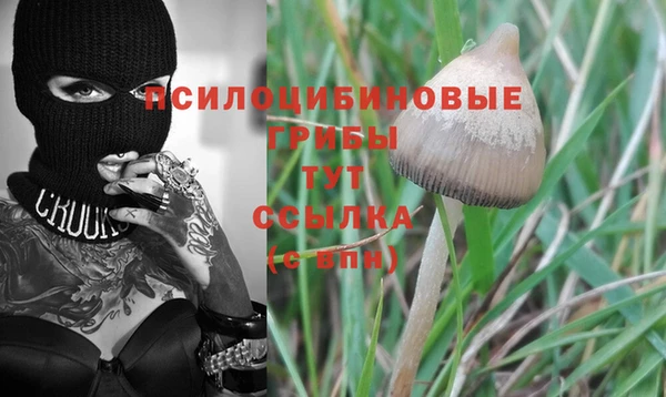 первитин Зеленодольск
