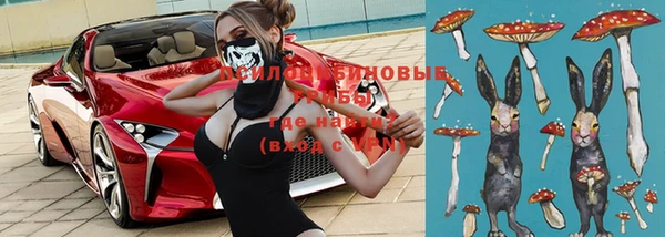 ГАЛЛЮЦИНОГЕННЫЕ ГРИБЫ Зерноград