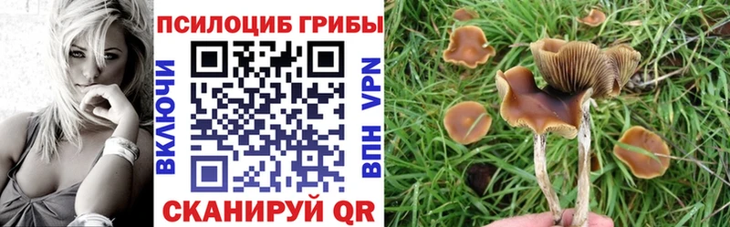Галлюциногенные грибы GOLDEN TEACHER  Купить где  Калининск 