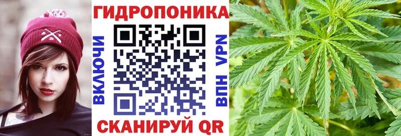 Купить где Калининск Канабис OG Kush